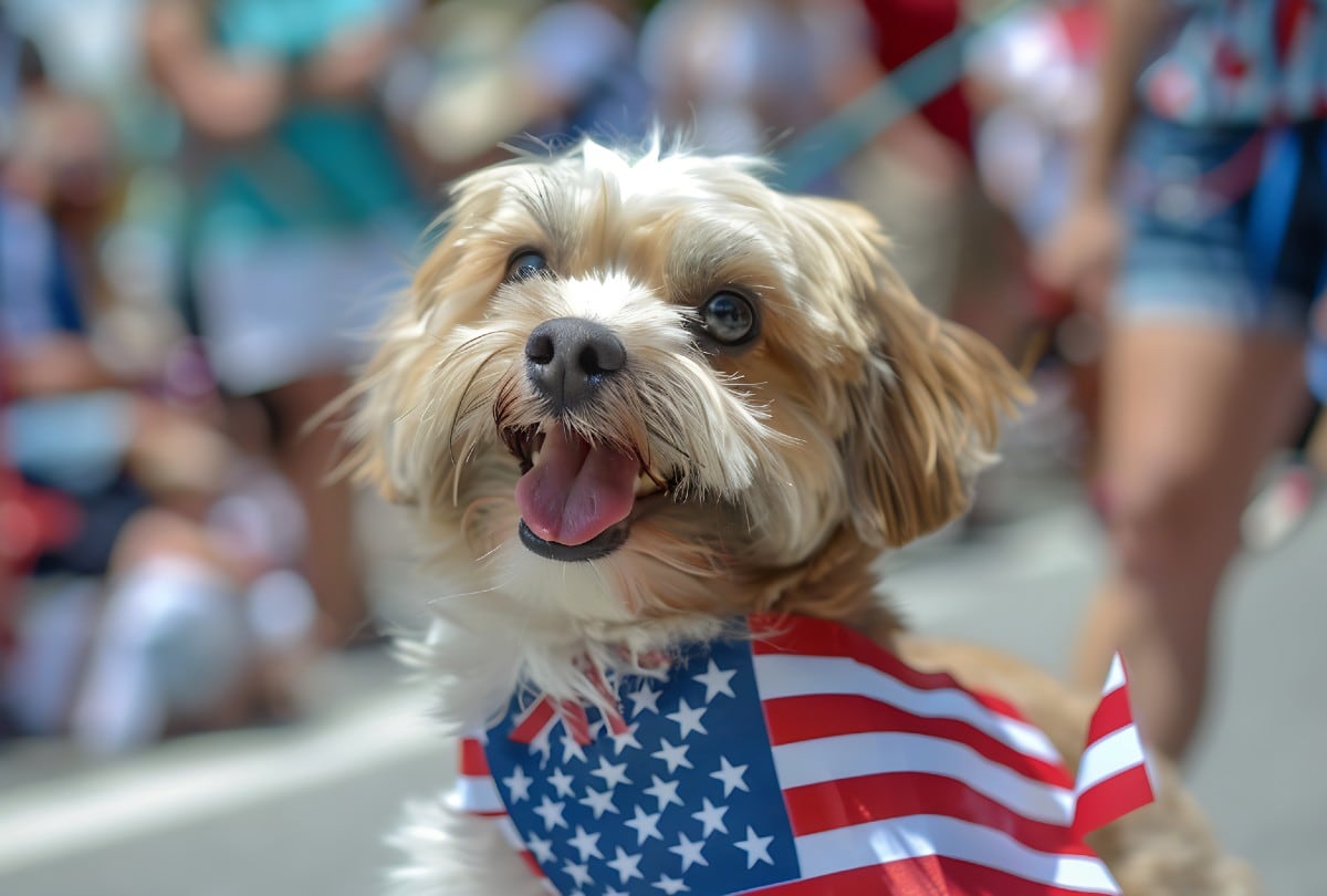 Esta nueva ley crea mayores protecciones para las mascotas en Florida (Foto: Freepik)