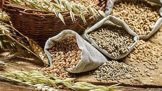 FAO: Precios mundiales de los alimentos se estabilizan en setiembre