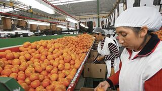 Empresas peruanas de alimentos presentarán su oferta de productos en Colombia