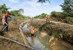 Con Punche Perú Agro: ¿qué contempla el plan y en qué regiones actúa?