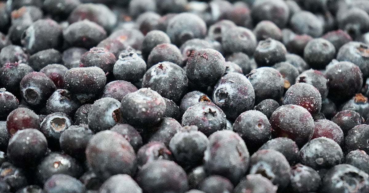 Packing del Carmen tiene el reto de incrementar su participación en el negocio de los arándanos. (Foto: Packing del Carmen).