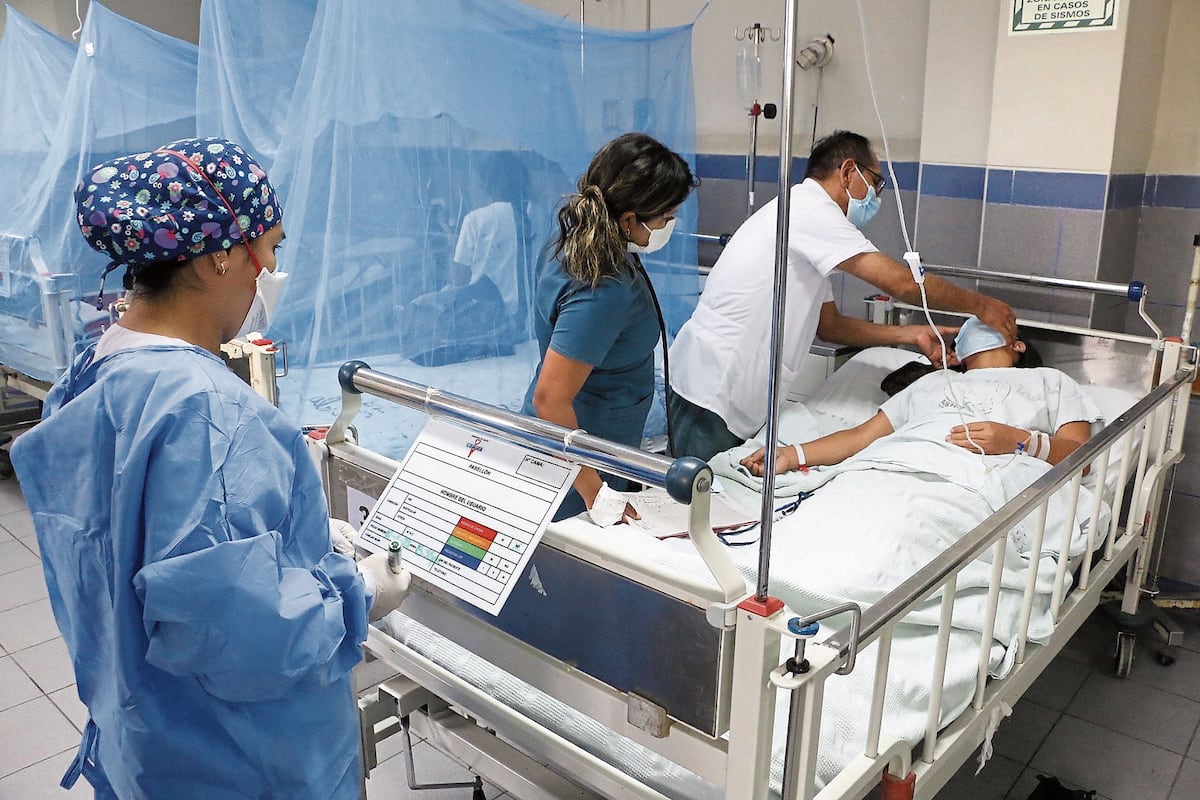 Dengue en Perú. (Foto: GEC)