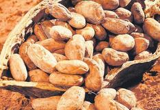 Envíos de Perú de cacao en polvo y la harina de maca al alza, ¿a qué se debe?