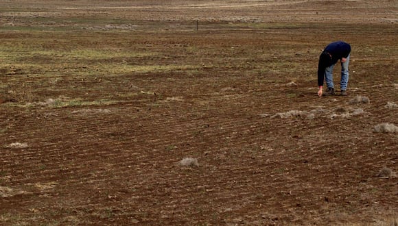 Millones de hectáreas de superficie agrícola y de pastos también se verían afectados por el déficit hídrico. (Foto: Andina)