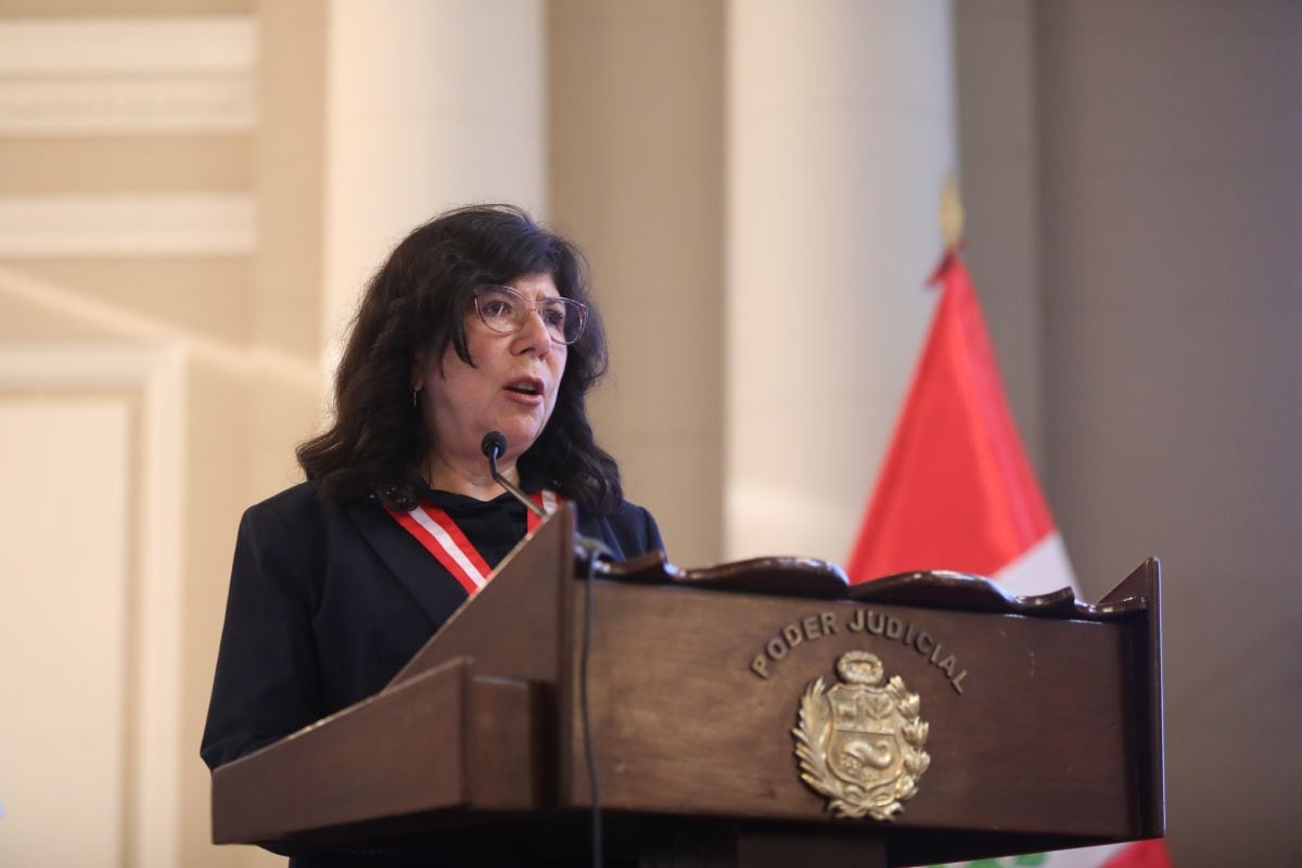 Janet Tello afirmó que las modificaciones a la Ley de Extinción de Dominio han debilitado la lucha contra el crimen organizado. Foto: Poder Judicial.