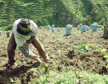 Nueva metodología de Bonos de la Deuda Agraria: cambios e impacto | Foto: Referencial