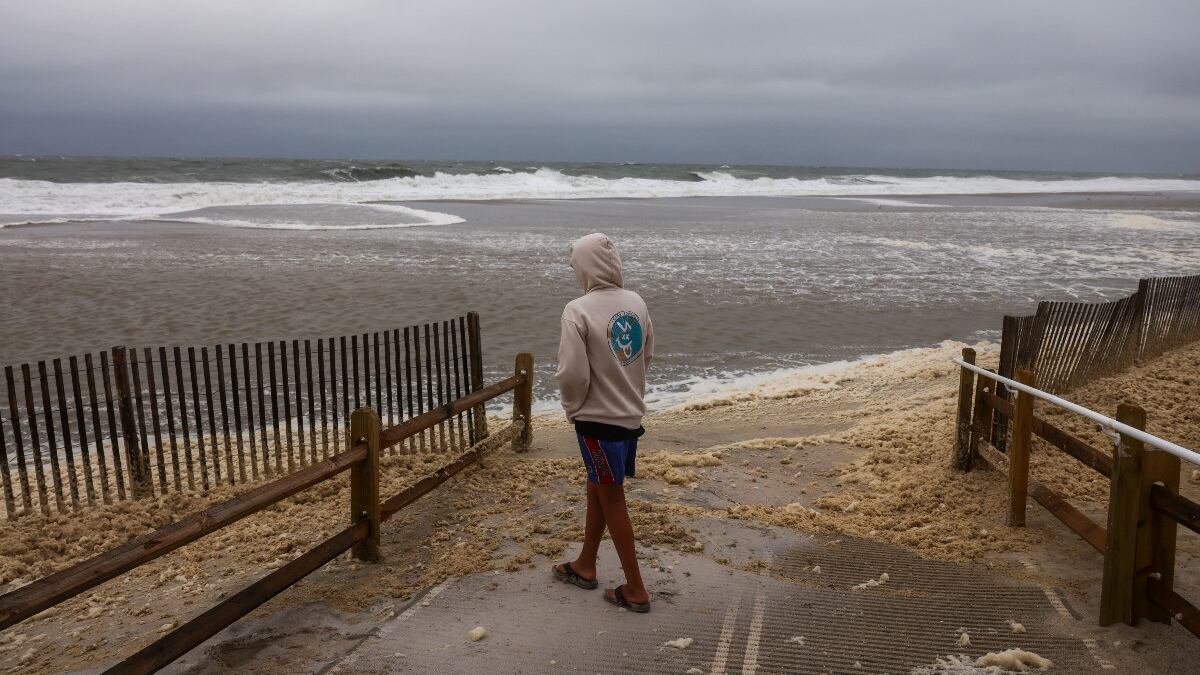 Alarma en las playas de EE. UU.: investigan la aparición de casi treinta tiburones sin vida varados en playa de Nueva Jersey