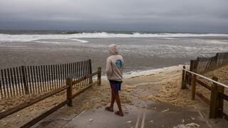 Alarma en las playas de EE. UU.: investigan la aparición de casi treinta tiburones sin vida varados en playa de Nueva Jersey
