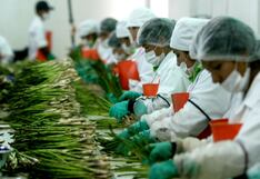 La agroindustria en Perú: empleo, desarrollo y la amenaza del crimen organizado