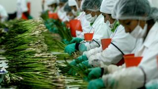 La agroindustria en Perú: empleo, desarrollo y la amenaza del crimen organizado