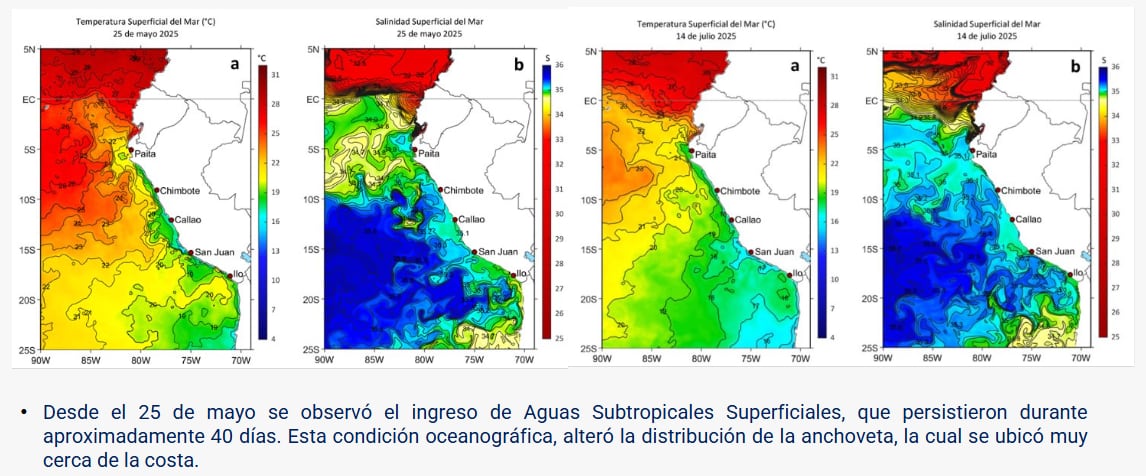 Condiciones oceanográficas cambiaron a finales del mes de mayo. (Fuente: SNP)