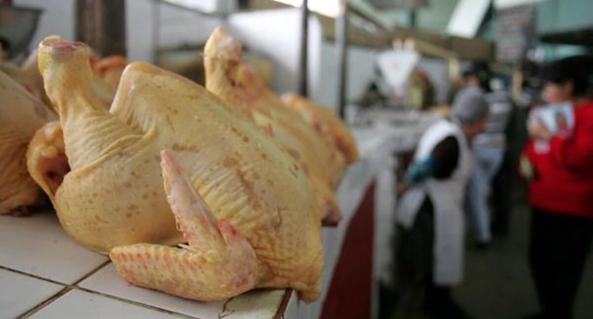 Senasa afirmó que se reabrirán accesos para el pollo a países latinoamericanos a fines del 2025, mientras se busca abrir las exportaciones a nuevos destinos en Asia. (Imagen: Andina)