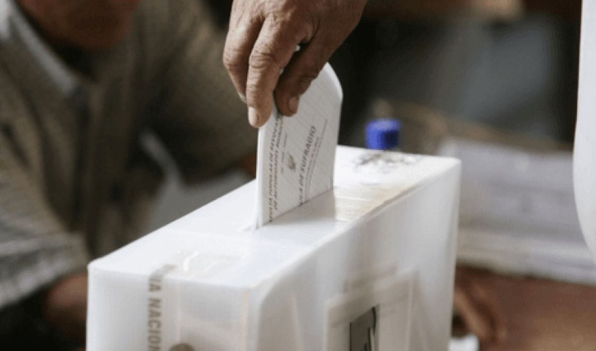ELECCIONES 2026: El Sur Decide