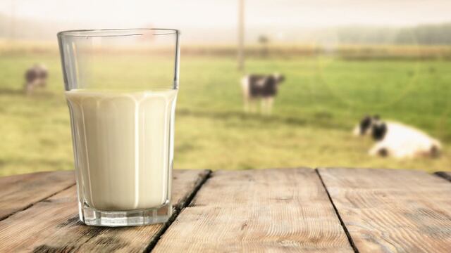 Agalep: Dos razas de alto nivel genético producen cerca del 20% de leche destinada a la industria láctea