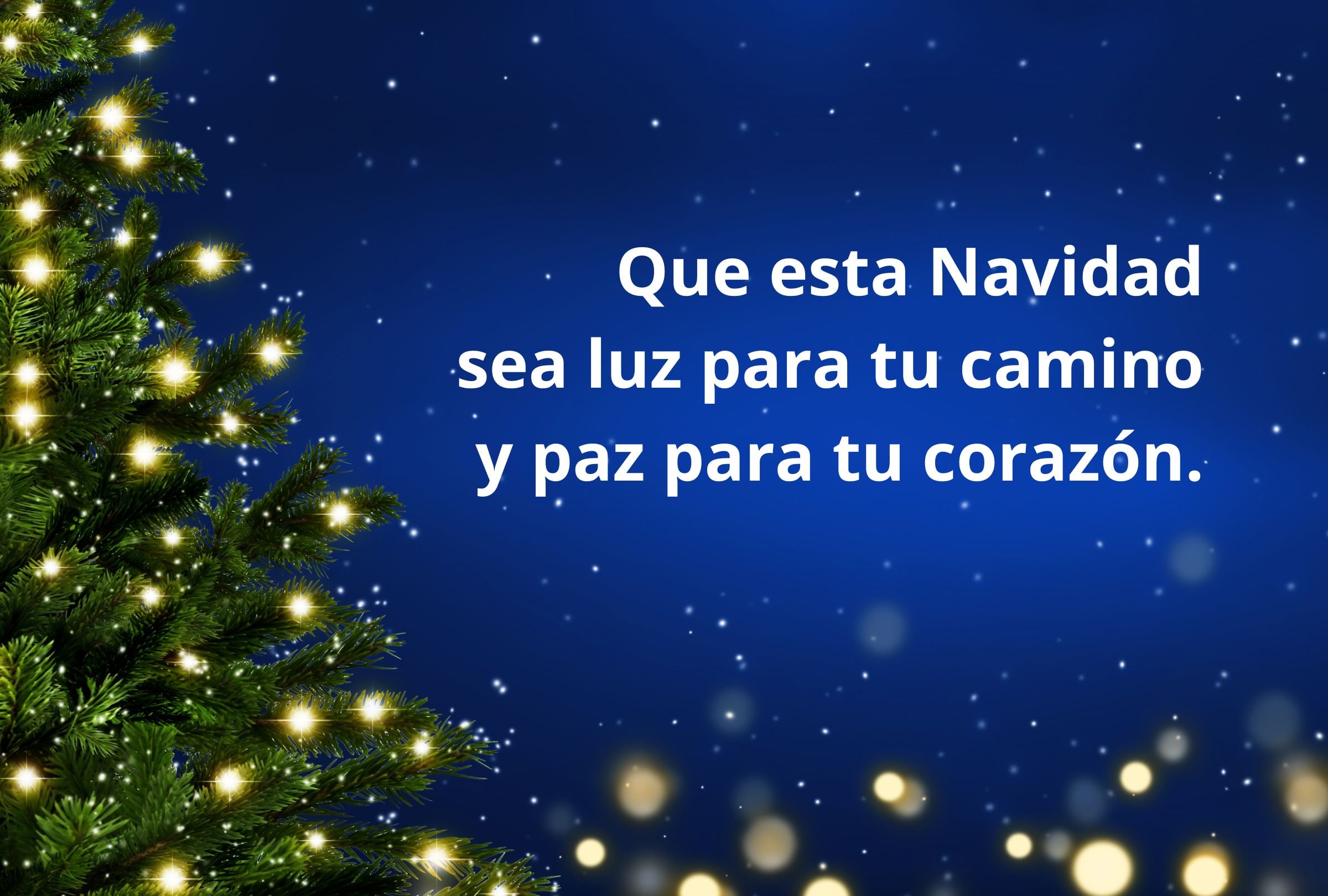 Que esta Navidad sea luz para tu camino y paz para tu corazón. (Foto: Composición Gestión Mix)