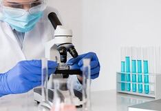 Logran volver transparentes tejidos de animales vivos con un colorante alimentario