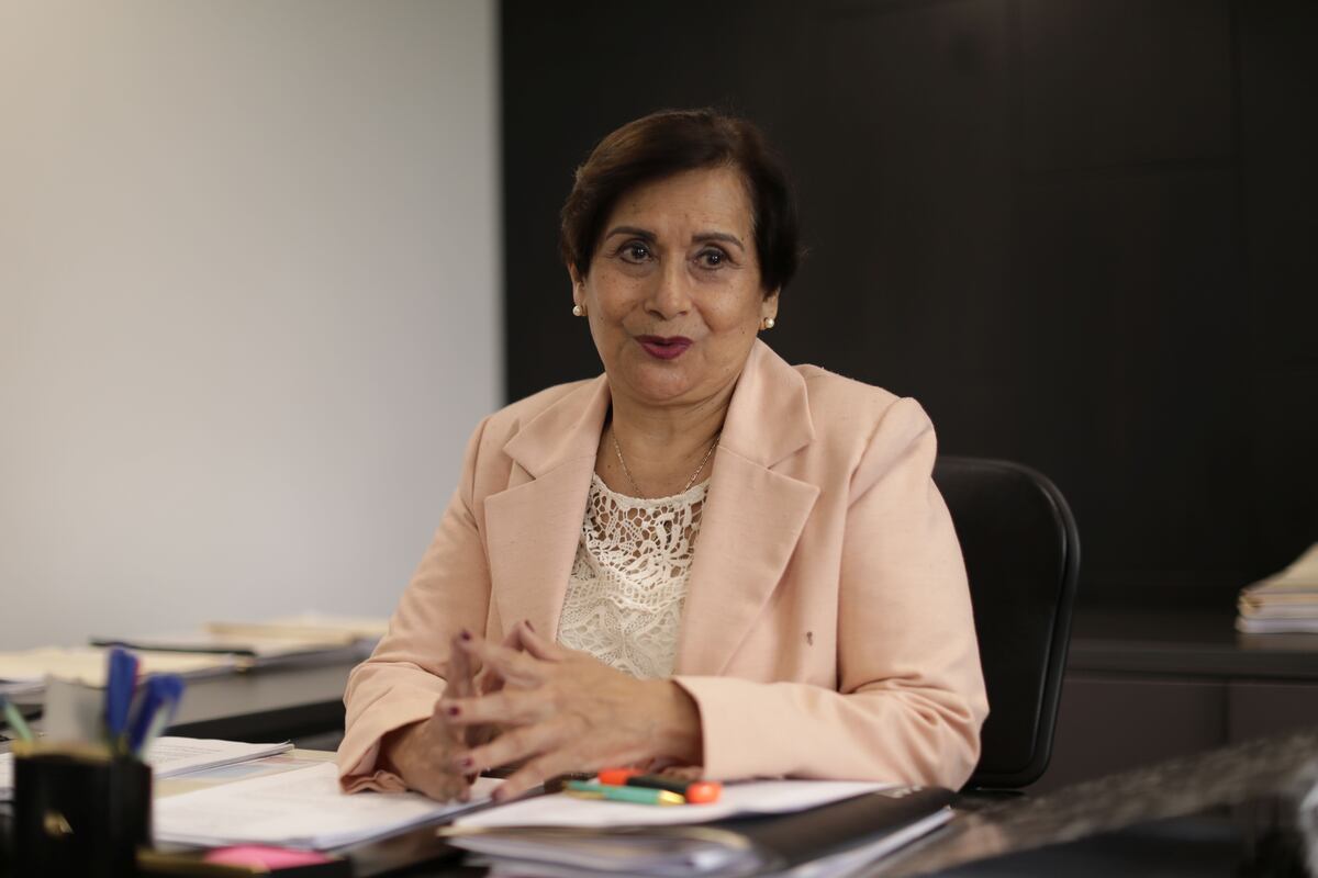 Inés Tello señaló que la decisión del Tribunal Constitucional afecta su derecho constitucional a ser miembro de la JNJ, (Foto: Antonhy Niño de Guzmán/GEC)