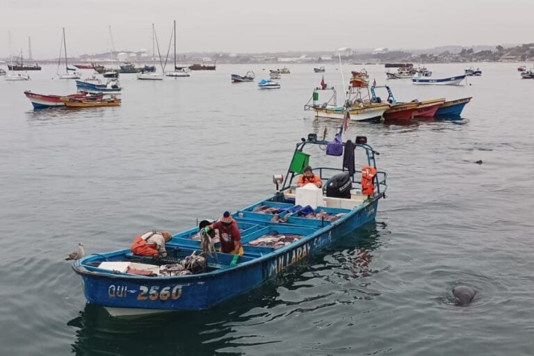 Pesca, agro y el sector financiero serían los más afectados por un fenómeno de El Niño fuerte. Foto: cortesía Pesca Sustentable/Eric Parra