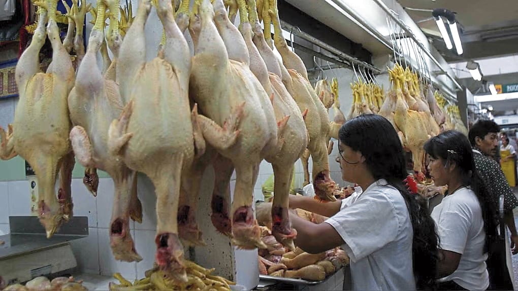 Inflación en julio. En Alimentos subieron los precios de carne, pollo eviscerado, cortes de pollo.