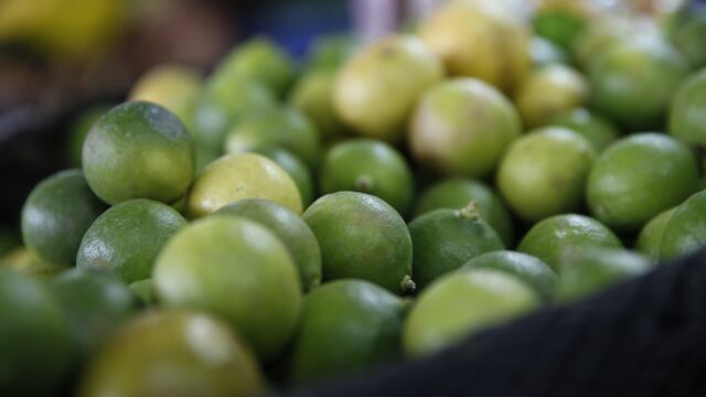 Precio del limón cae 30% en mercados mayoristas de Lima, según Minagri