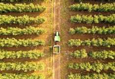 Este es el gigante israelí de microrriego que se impulsa en Perú con foco en la agroexportación