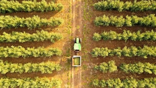 Este es el gigante israelí de microrriego que se impulsa en Perú con foco en la agroexportación