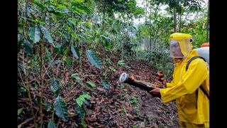 Se evalúa regular uso del mayor herbicida que se emplea en los cultivos peruanos