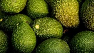 Exportación de paltas creció 9% de enero a setiembre