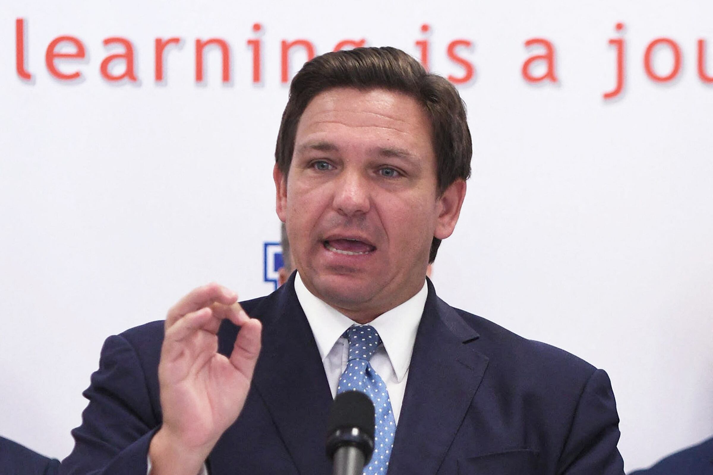 Florida endurece las penas por crueldad animal: la ley HB 559 firmada por DeSantis entra en vigor en octubre y estas son sus nuevas sanciones
