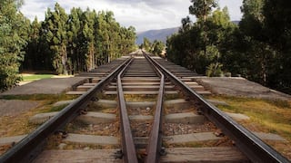 “Es un suicidio”: el Tren Maya mexicano tropieza con un tesoro de la naturaleza