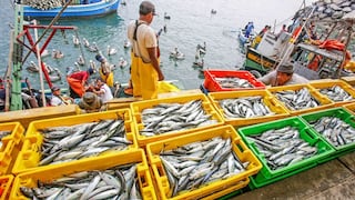 Pesca, el sector más golpeado en el 2023, ¿el escenario cambiará este 2024?