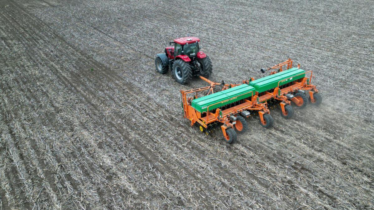 Lluvias escasas amenazan las plantaciones de soja y maíz en Argentina. (Foto: AFP)