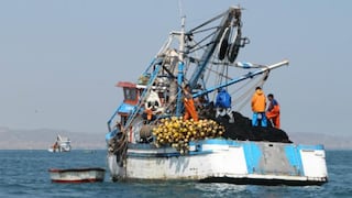 Transbordos en alta mar: la trampa del pescado "invisible"