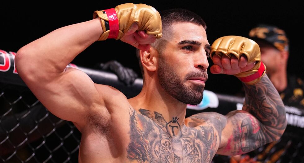 Topuria Final UFC 308: Topuria - Holloway: resumen y resultado final de la pelear ...