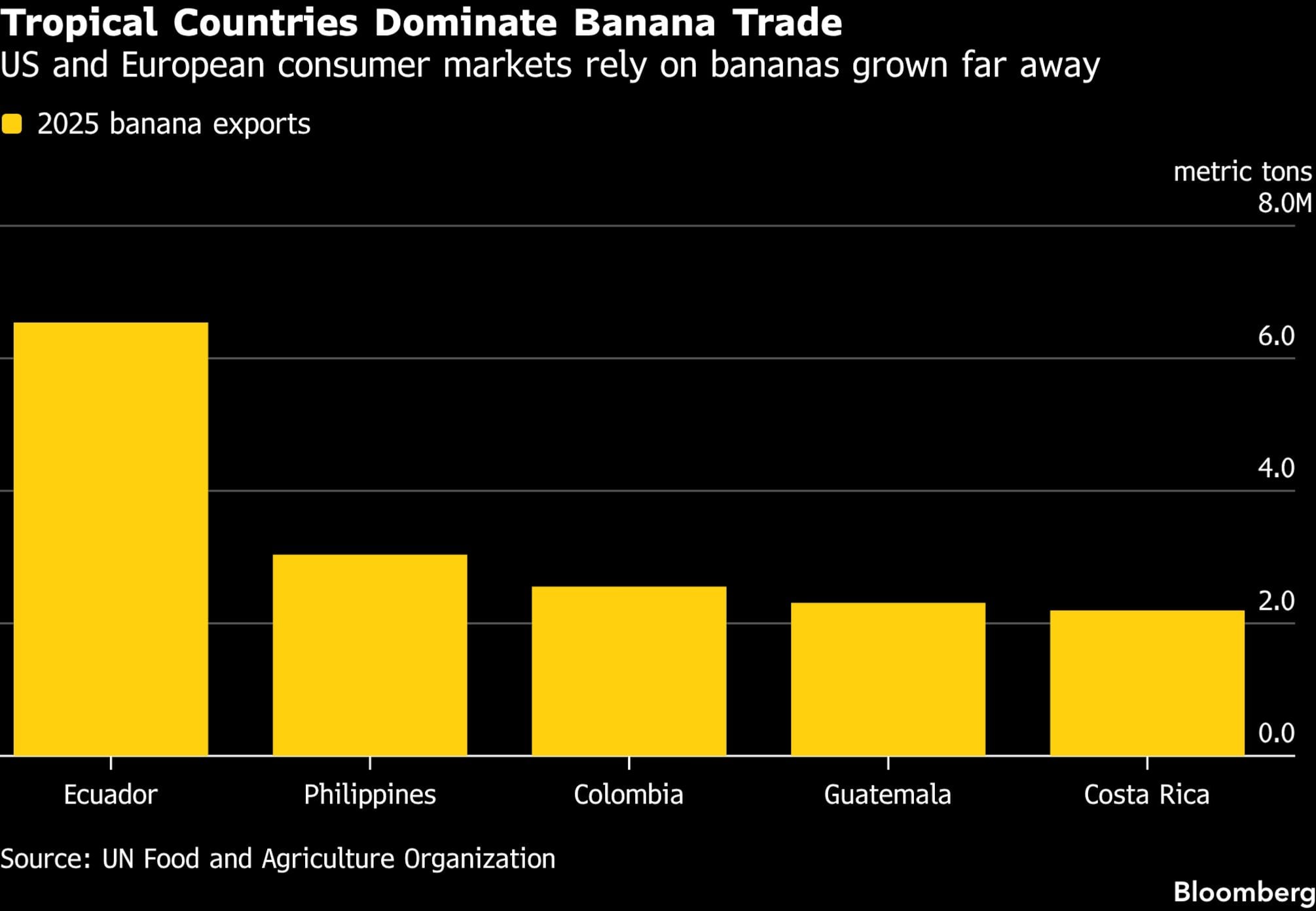 Los países tropicales dominan el comercio del banano | Los mercados de consumo de Estados Unidos y Europa dependen de bananos cultivados en lugares lejanos