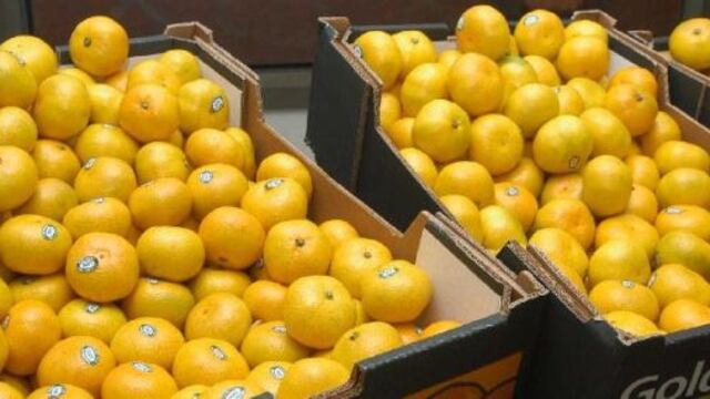 Exportaciones de mandarinas crecen 35% entre enero y agosto