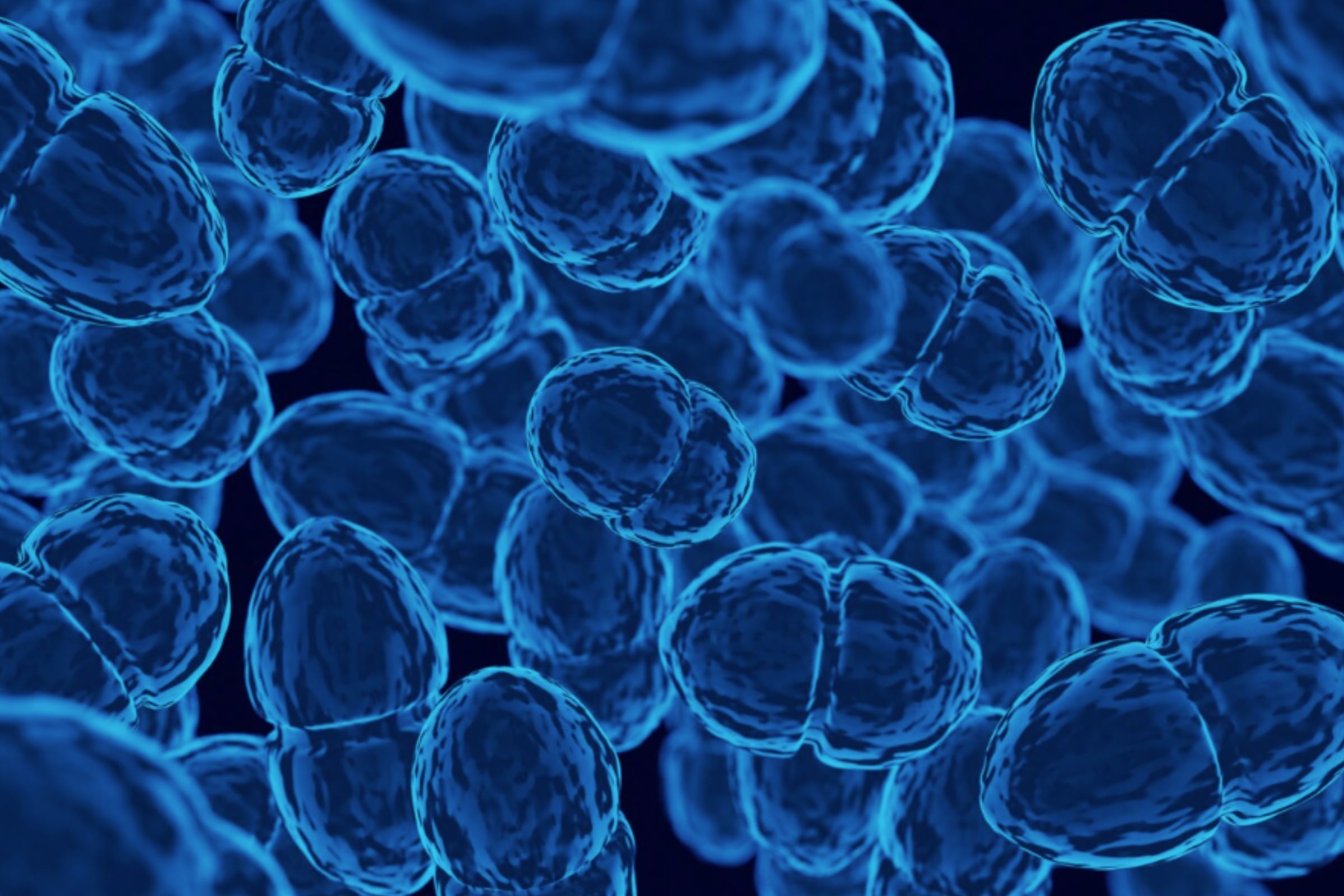 Este patógeno es capaz de causar diferentes infecciones en los seres humanos. (Crédito: Magnific / Imagen referencial)