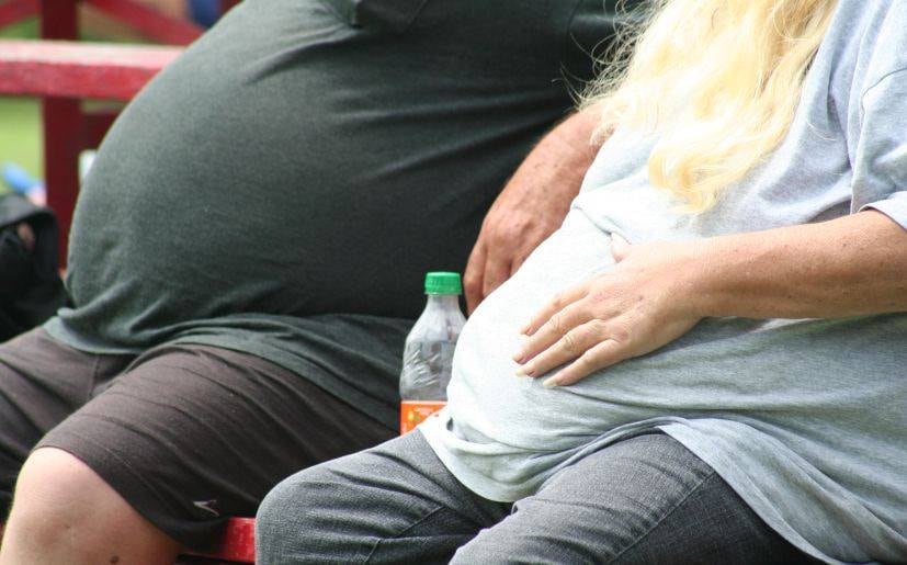Los anuncios de comida basura se mantendrán en marquesinas de autobús y escaparates.