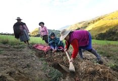 Aprueban nuevo formato del Seguro Agrícola Catastrófico para adjudicar buena pro