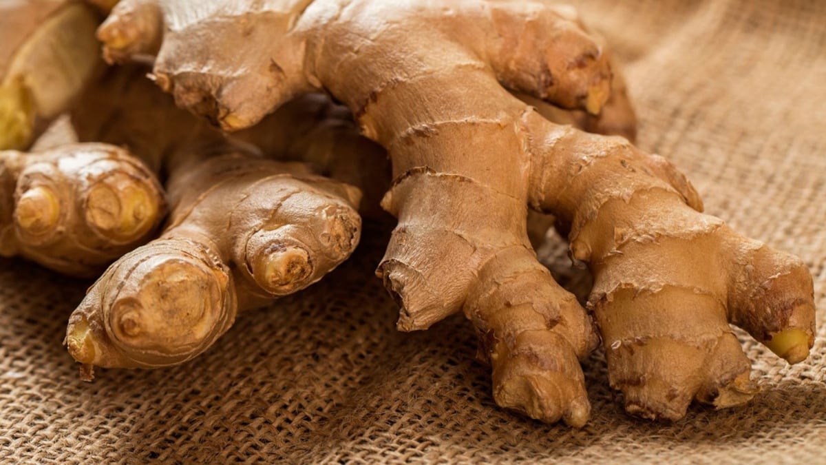 Nativa Organics, jengibre y nuevos retos: así mueve la peruana su negocio agroexportador