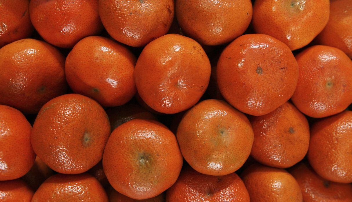 Sterling Perú registra un crecimiento sostenido en sus exportaciones todos los años. (Foto: GEC)