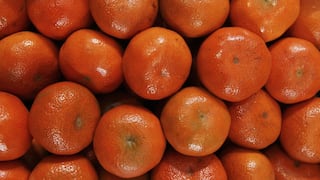 Sterling Perú proyecta aumento de envíos de cítricos por demanda en EE.UU.