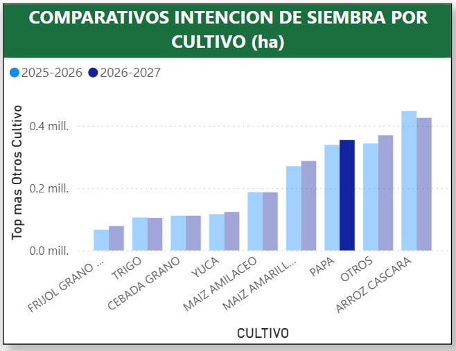 Comparativo entre las intenciones de siembra por principales cultivos entre la campaña agrícola 2025-2026 y la prevista para el periodo 2026-2027. | Fuente: Midagri