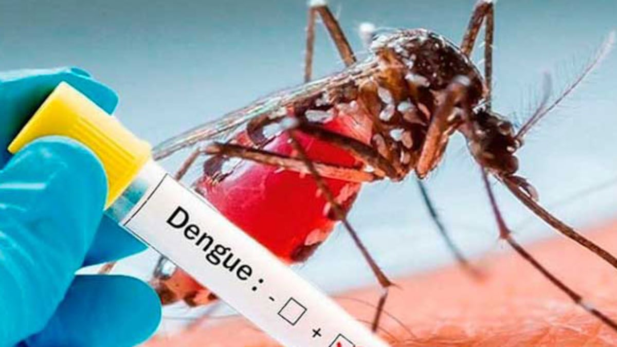 Dengue: Minsa reporta 44 mil casos a nivel nacional