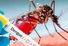 Dengue: Minsa reporta 44 mil casos a nivel nacional