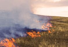 Gobierno declara en emergencia tres regiones por incendios forestales, ¿cuáles son?