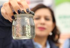 Incremento de temperaturas permite rápida reproducción del zancudo transmisor del dengue