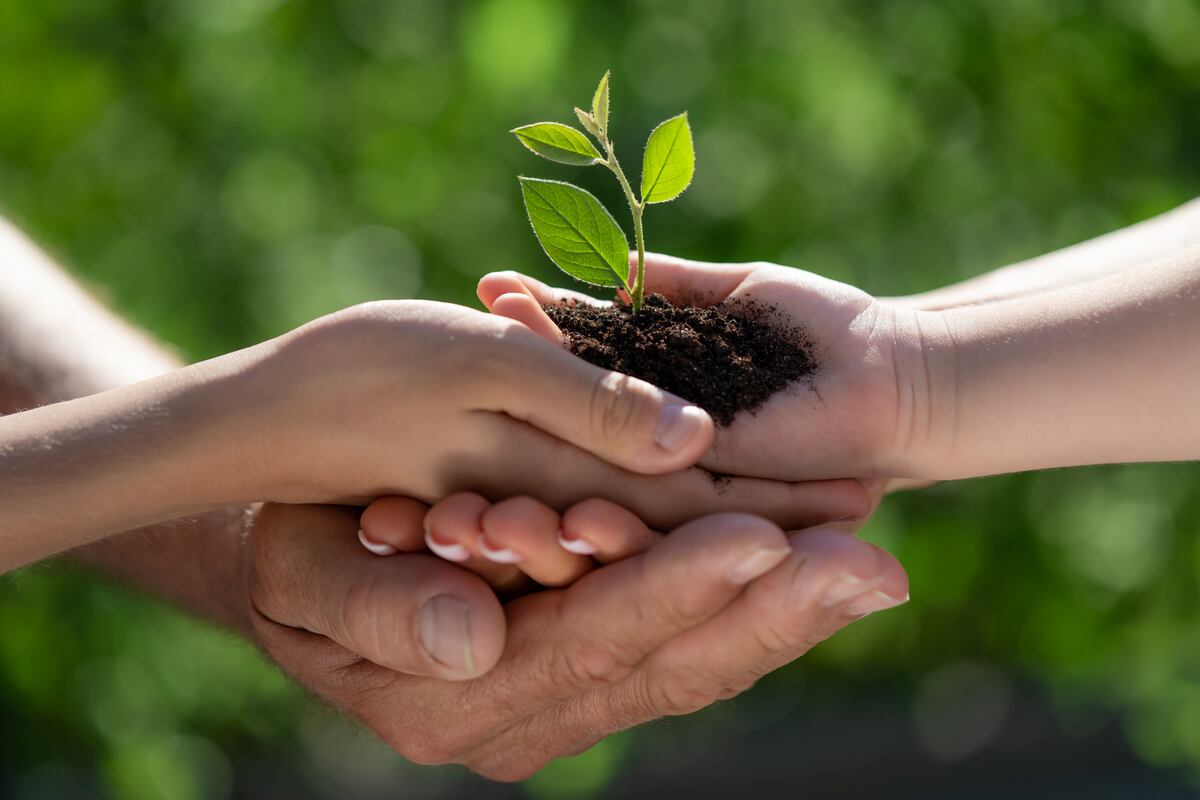 El primer Día de la Tierra se celebró en 1970 y desde entonces ha crecido en importancia hasta el punto de convertirse en un evento global con actividades que van desde la limpieza de áreas naturales hasta campañas de educación ambiental y esfuerzos de conservación.
Camina o usa la bicicleta: Si el lugar que vas a visitar y la distancia es corta, caminar o usar la bicicleta es una excelente opción y una forma de reducir la emisión de gases de efecto invernadero.
Elige alojamientos sostenibles: Puedes optar por alojamientos que hayan adoptado medidas sostenibles como la reducción de residuos, el uso de energías renovables o la implementación de prácticas de conservación.
Reduce el consumo de energía: Apaga las luces y el aire acondicionado cuando no los estés usando y utiliza el agua de manera responsable en el lugar donde te estés quedando.
Compra productos locales: Compra alimentos y souvenirs locales para apoyar la economía local y reducir la huella de carbono del transporte. En muchos destinos hay espacios donde venden estos productos, consulta con los locales para que te indiquen dónde están.
Usa envases reutilizables: Lleva tu propia botella de agua, tupperware y bolsas reutilizables para reducir el consumo de plástico. Al mismo tiempo, te permitirá ahorrar bastante y no gastar tanto en los lugares que visitas.
Sé responsable con los residuos: Separa los residuos y deposita cada uno en su contenedor correspondiente. Puedes optar por llevar una bolsa de tela para juntar los residuos que acumules durante tu viaje.
Ahorra energía en el alojamiento: Reduce el uso de agua y energía en el alojamiento, por ejemplo, reutilizando las toallas y las sábanas. Haz el cambio sólo cuando sea necesario y evita ensuciar más de lo necesario.
Apoya el turismo sostenible: Busca opciones de turismo sostenible y responsable que sean beneficiosas para la comunidad local y el medio ambiente. En muchos destinos se está apostando por el turismo sostenible, busca información para realizarlo.
Contribuye a la conservación del medio ambiente: Participa en actividades de limpieza de playas, parques y otros espacios naturales, y apoya a organizaciones que trabajan en la conservación del medio ambiente. Esto te permitirá estar más enterado de la situación del destino y en muchos casos reducir tu impacto.