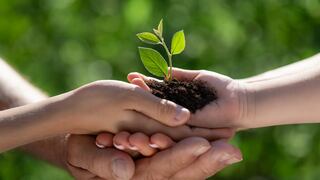 Día de la Tierra: estragos climáticos y anuncio de inversión millonaria de EE.UU.