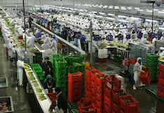 Más allá de uvas y arándanos: 3 productos que podrían ser nuevos protagonistas